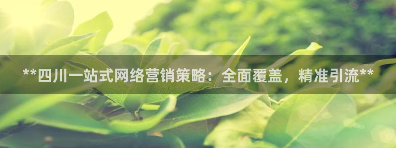 必赢手机app下载 最新版安装