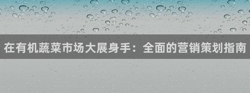 必赢亚赢网站官网下载安装最新版